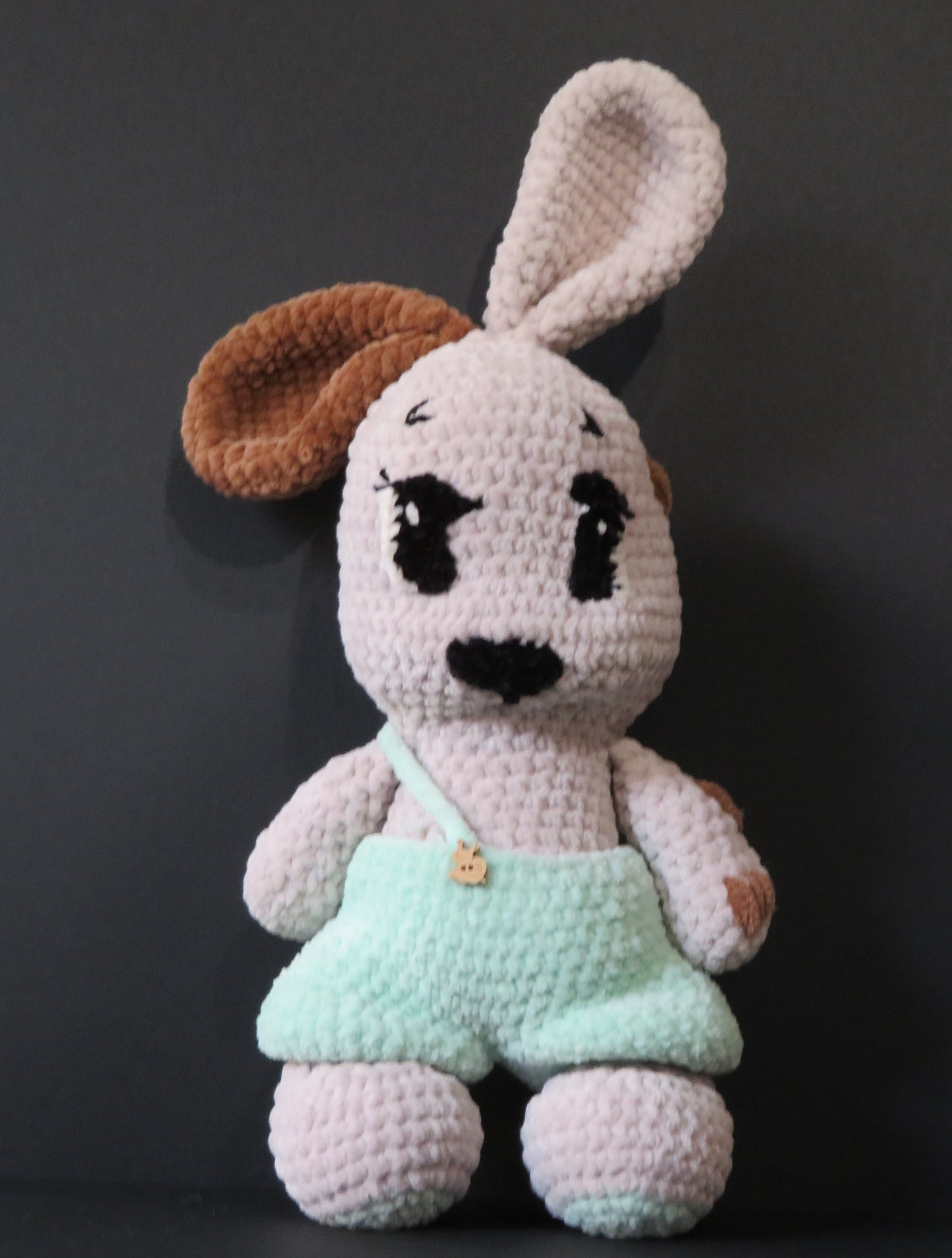 Lapin avec salopette verte
