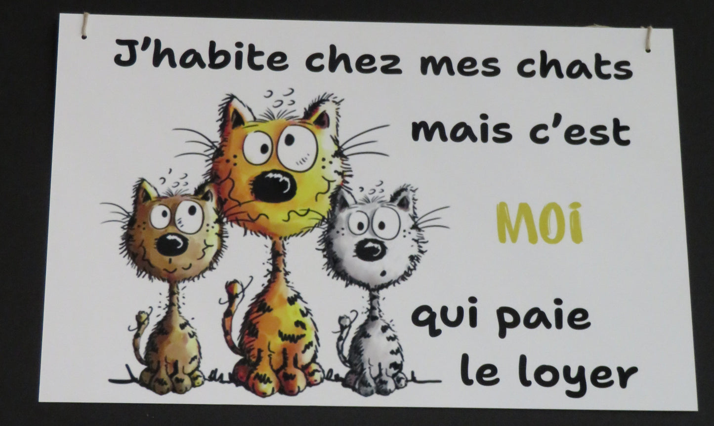 Panneau déco "J'habite chez mes chats"