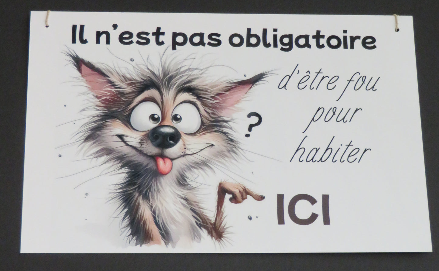 Panneau déco "Il n'est pas obligatoire d'être fou pour habiter ici"