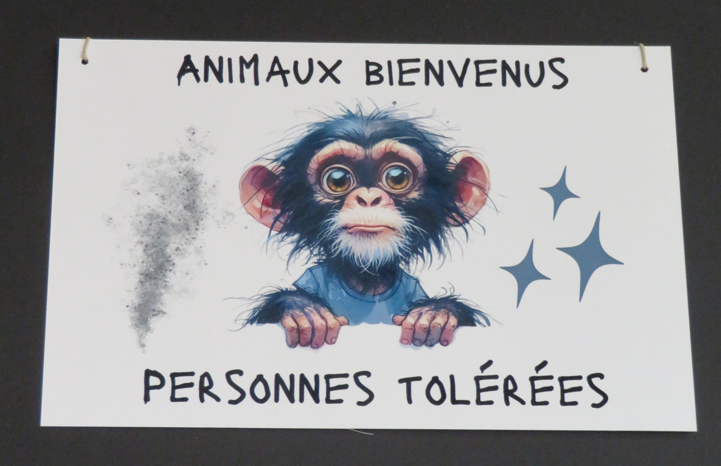 Panneau déco "Animaux bienvenus, personnes tolérées"