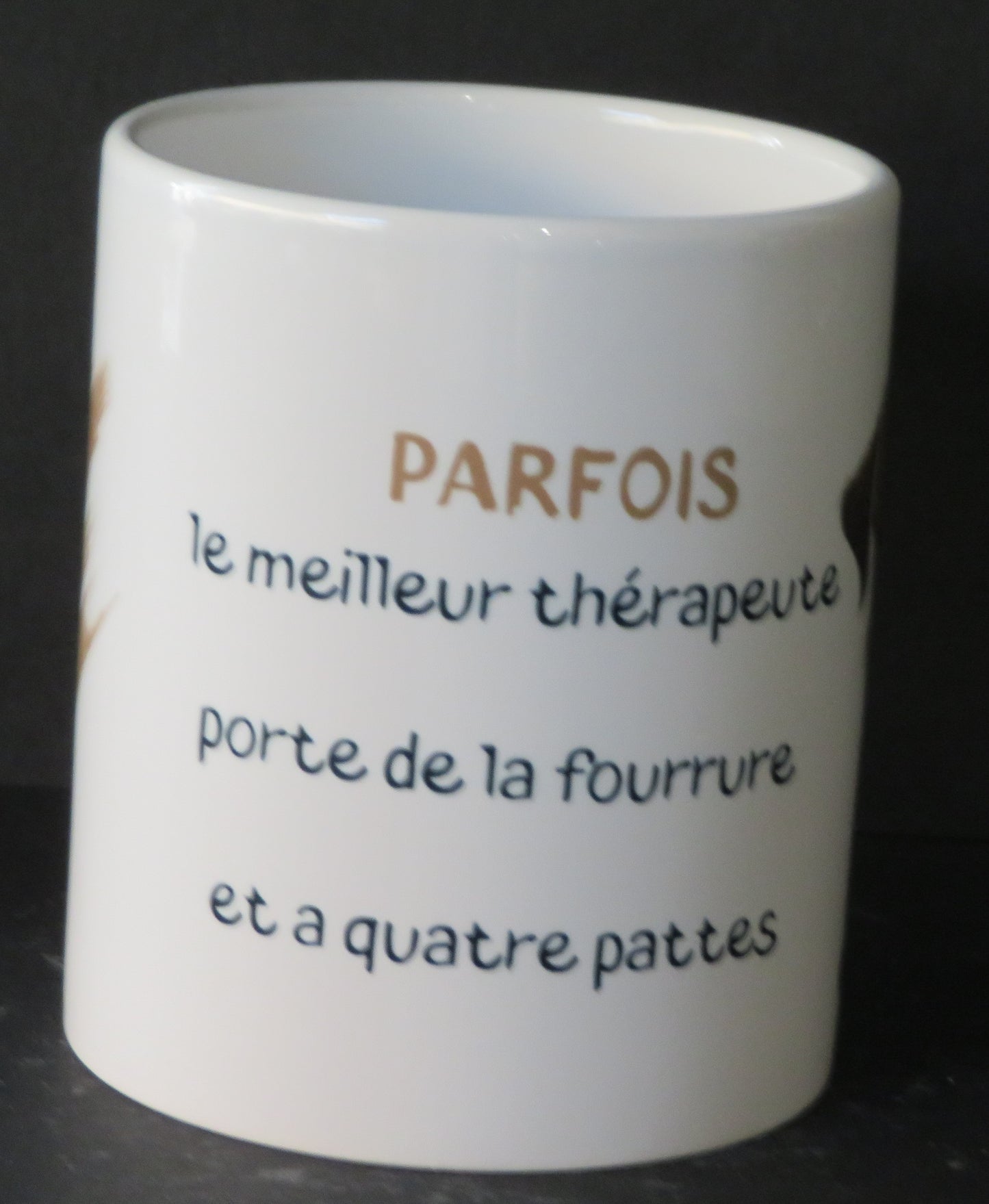 Mug " Parfois le meilleur thérapeute porte une fourrure et à quatre pattes"