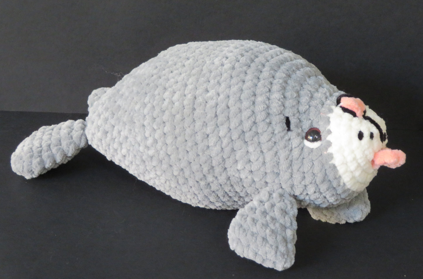 Phoque et sa bouée-poisson en crochet