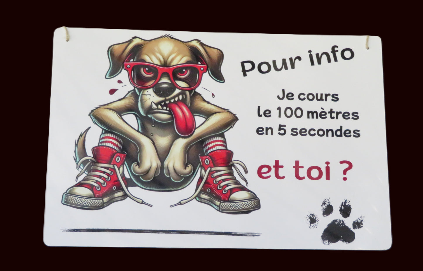Panneau déco " Pour info je cours le 100 mètres en 5 secondes et toi ?"