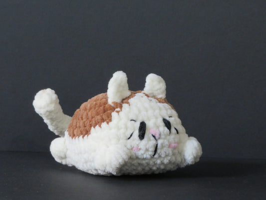 Petit chat couché