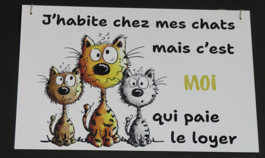 Panneau déco "J'habite chez mes chats"