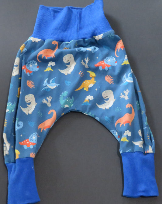 Sarouel "Dinos"