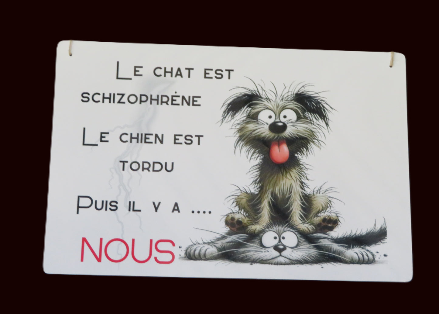 Panneau déco "Le chat est schizophrène, le chien est tordu ... puis il y a NOUS"